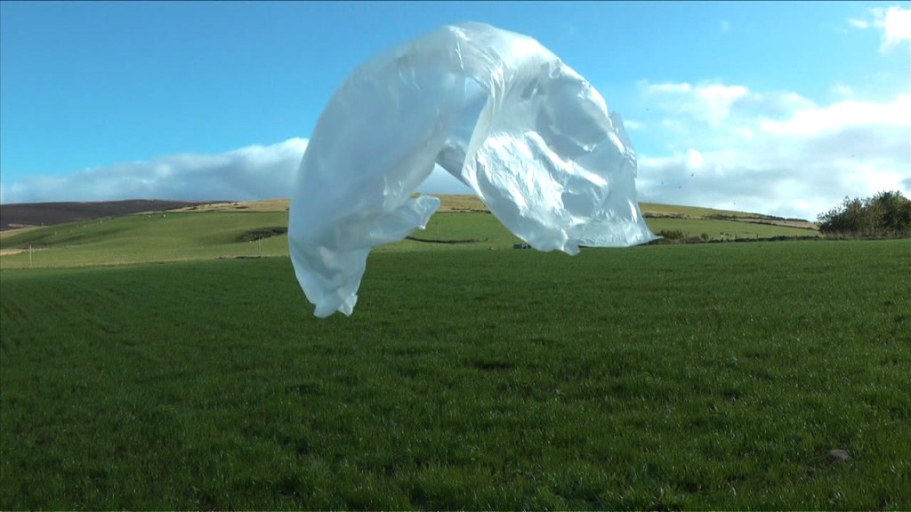 Arbitraries, 2011