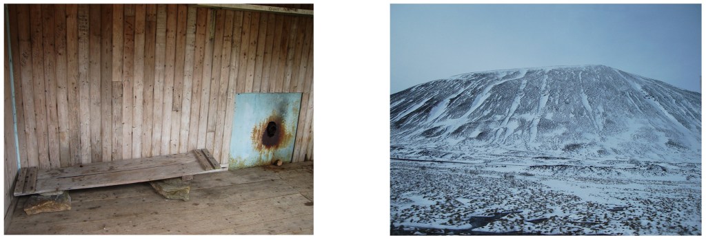 Human/Nature, 2010