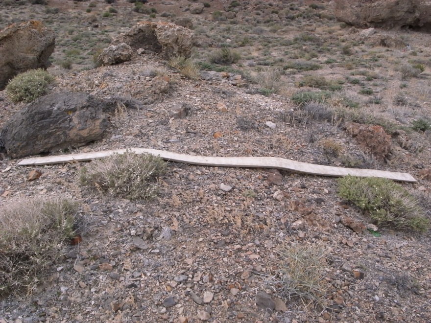 Contour (References), 2011